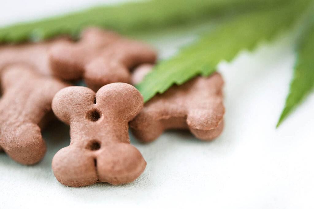 cbd dog treats lincoln il