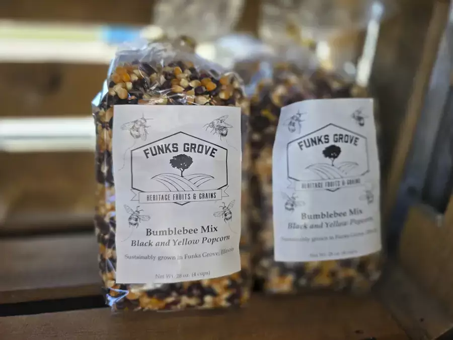 CBD Botanicals - Botanical Market & Apothecary Gallery Image - Springfield IL