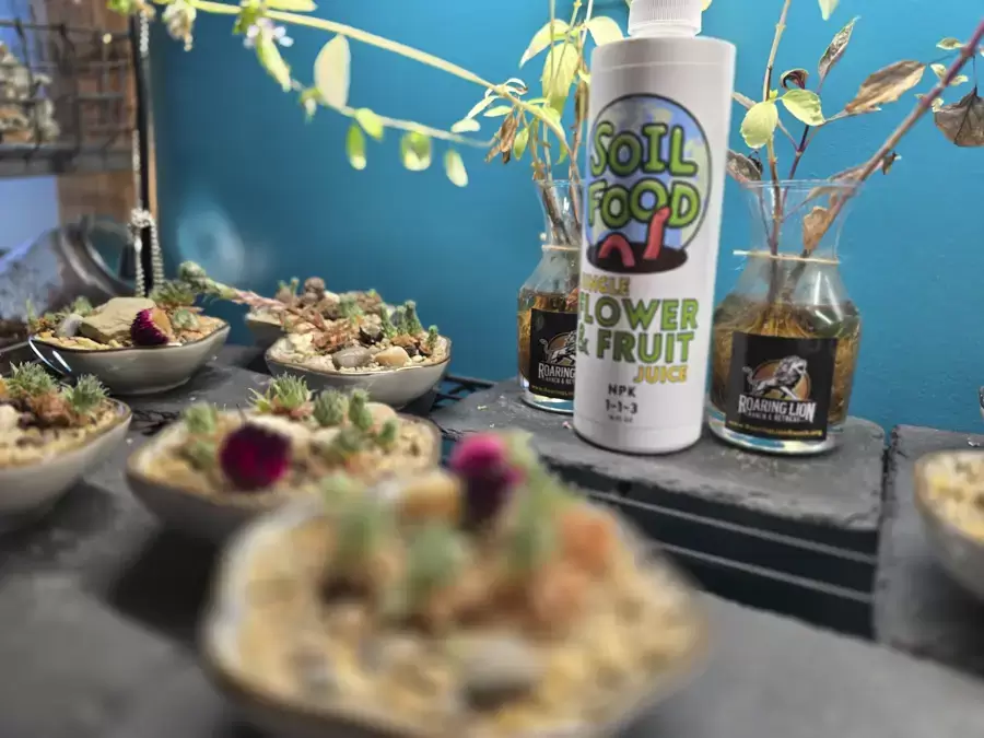 CBD Botanicals - Botanical Market & Apothecary Gallery Image - Springfield IL